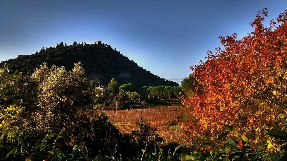Podere L'Olmaia Marsiliana Exterior foto